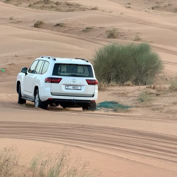 Evening Desert Safari (Without Dinner) - Image 9