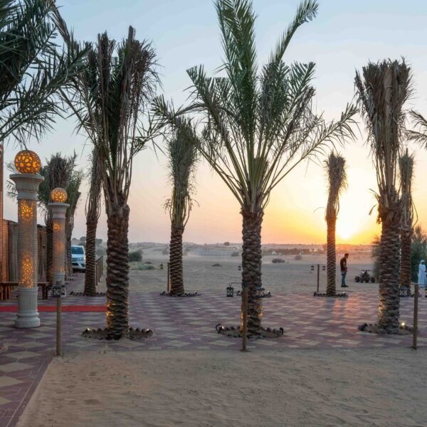 Evening Desert Safari (Without Dinner) - Image 4