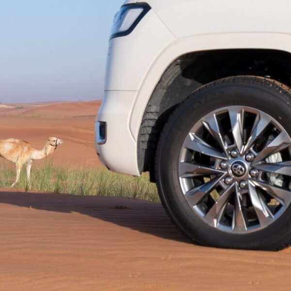 Morning Desert Safari in Dubai - Image 3
