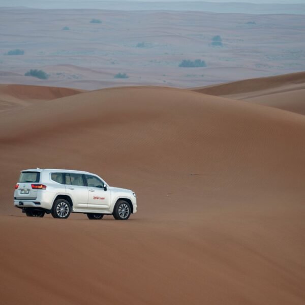 Morning Desert Safari in Dubai - Image 4